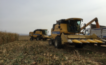 "Mısır alım rendavusu acilen tekrar açılsın"