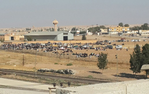 Mülteciler Akçakale sınırında