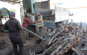 Odun pazarında kış mesaisi