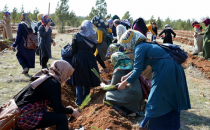 On Bin Fidan Toprakla Buluştu