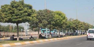 Onlar Gündelik İşlerde Çalışıyor