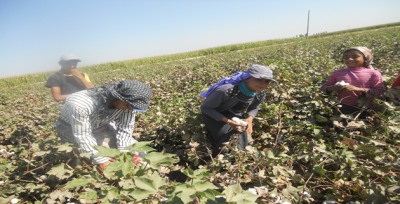 "Onlara Okul Geç Açılıyor"
