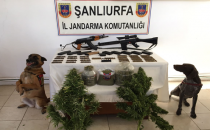 Operasyonda özel eğitimli köpekler yer aldı