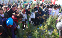 Orman ve Su İşleri Bakanlığı Mobil TIR tanıtımında fidan izdihamı