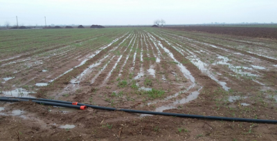 Ova Çiftçisini Sevindiren Yağmur