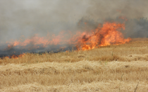 Ovada Anız Yangınlarının Önüne Geçilemiyor