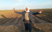 Ovada hububat destekleme fiyatı artmadı