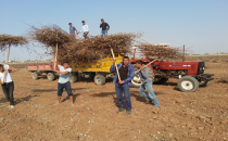 Ovada kışlık ısınmaları tarladan çıkıyor