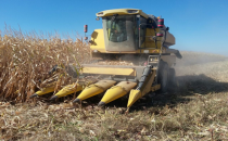 Ovada mısır hasadı başladı