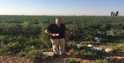 Ovada Rekor Beklenti