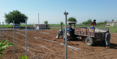 Ovada Ürün Çeşidi Çoğalıyor