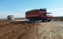 Pamuk para edince depolardan çıkartıldı