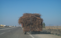 Pamuk Sapı Dar Gelirli Vatandaşın Isınma Kaynağı Oldu