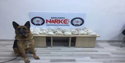 Polis Köpeği Sedef Affedemiyor