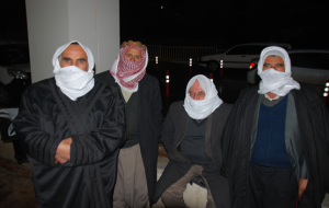 Puşulu domuz gribinden korunma yolu