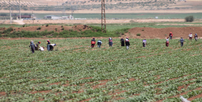 Ramazanda Ekmek Parası İçin Ter Döküyorlar