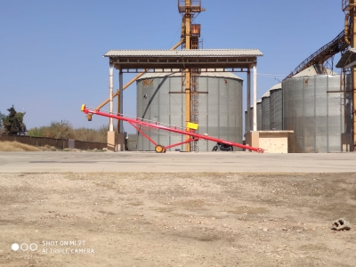 Resulayn'da TMO Hububat Alımı Başladı