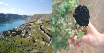 Sadece Halfeti'de Açıyor