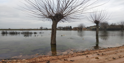 Sağanak yağmur Suruç'u Esir Aldı