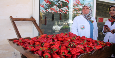 Sahipsiz İsot, Sahipsiz Şanlıurfa
