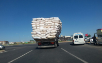 Saman yüklü kamyonlara yola çıktı