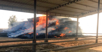 Samanlıkta Çıkan Yangın Dört Saat Sonra Söndürüldü