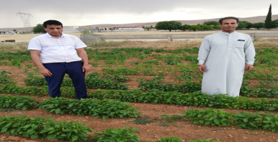 Şanlıurfa Çiftçilerine Uyarı,30 Haziran Son Gün