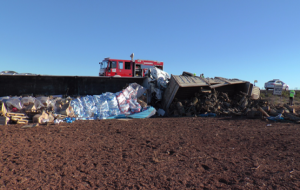 Şanlıurfa Gaziantep Yolun Kaza