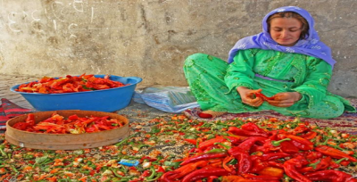 Şanlıurfa İSOT'u Alınmıyor