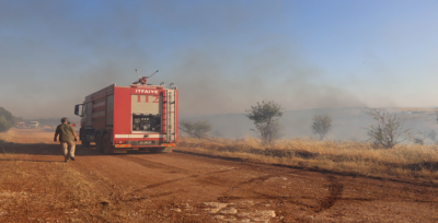 Şanlıurfa İtfaiyesinden Orman Yangınına Anında Müdahale