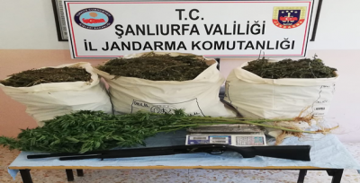 Şanlıurfa Jandarmasından Uyuşturucu Operasyonu