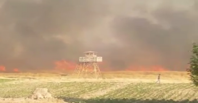 Şanlıurfa Suriye Sınırında Yangın!