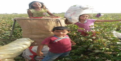 Şanlıurfa'da 304 bin 033 hektar alan Tarım Arazisi Sulandı