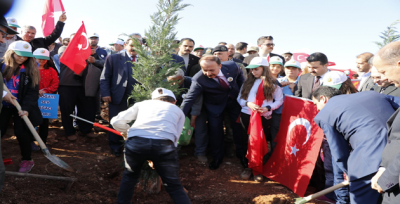 Şanlıurfa'da 450 Bin Fidan Toprakla Buluşacak
