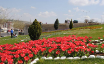 Şanlıurfa'da 50 tür ağaç çeşidi dikiliyor