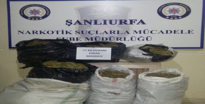 Şanlıurfa'da 77 Kilo Esrar Ele Geçirildi