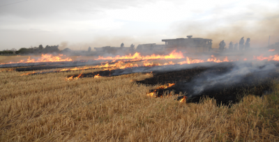 Şanlıurfa'da Anız Yangınların Önüne Geçilemiyor.