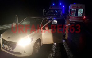 Şanlıurfa'da araba silahla tarandı, 2 ölü