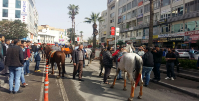 Şanlıurfa'da At Arabaları Sahipleri Belediye Önünde Eylem Yaptılar