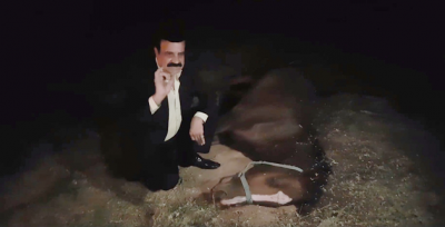 Şanlıurfa'da At Ölümleri 