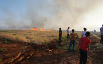 Şanlıurfa'da bitmeyen anız yangınları