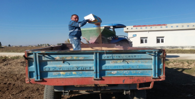 Şanlıurfa'da buğday ekimi başladı