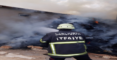 Şanlıurfa'da Çiftlikte Yangın Çıktı!