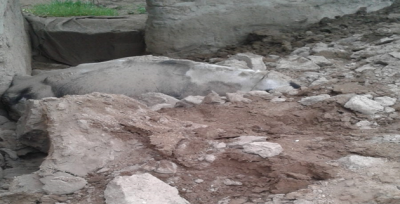 Şanlıurfa'da  Çöken Ahırda 3 Hayvan Telef Oldu