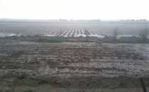 Şanlıurfa'da dolu yağışı hayatı felç etti