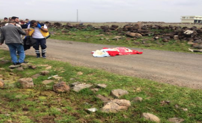 Şanlıurfa'da Feci Kaza, 1 Ölü, 2 Yaralı