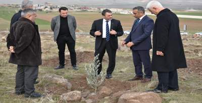 Şanlıurfa'da fidan dikilen alanda inceleme