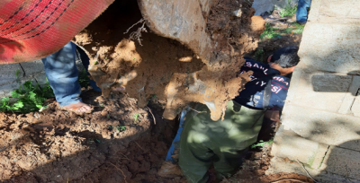 Şanlıurfa'da Foseptik Çukuruna Düşen İnek İtfaiye Ekiplerince Kurtarıldı