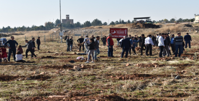 Şanlıurfa'da 'geleceğe nefes' için Ağaç dikimi