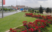 Şanlıurfa'da Güller Açtı